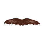 beard-2-(6)
