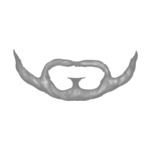 beard-style-1-(13)